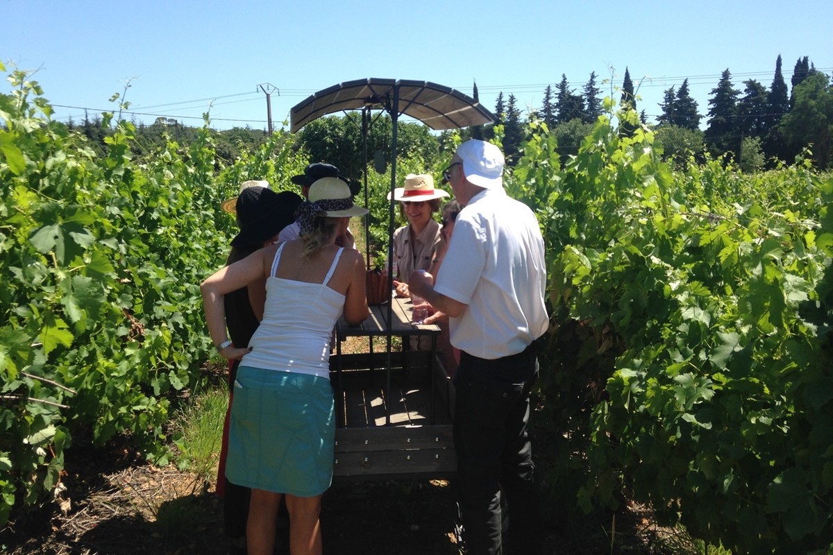 listen up In vino veritas Team building sur le vin et la vigne lors de l'organisation de votre séminaire - Agence évènementiel Montpellier ListenUp